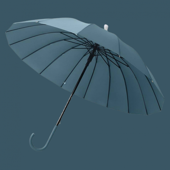 Umbrella