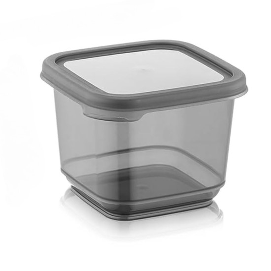 Plastic Container 550ml