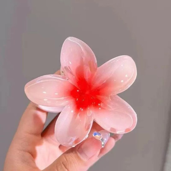 Hair Clip