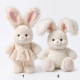 Running Rabbit Plush Small