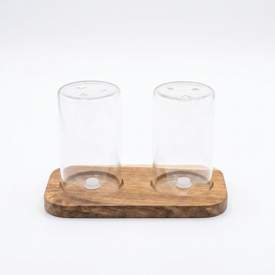 Glass Salt and Pepper Shaker Set