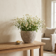Porcelain Plant Pot Medium