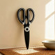 Kitchen Scissors