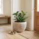 Porcelain Plant Pot Large