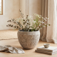 Porcelain Plant Pot Medium