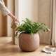Porcelain Plant Pot Large