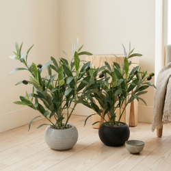Artificial Plant