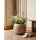 Porcelain Plant Pot Large