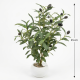 Artificial Plant