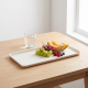 Metal Tray