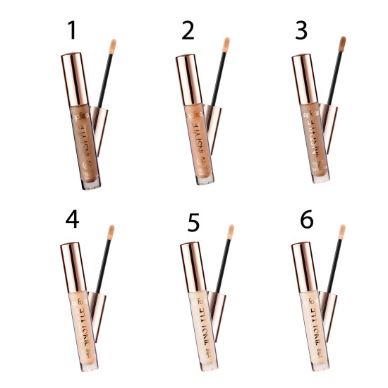 Topface Instyle Lasting Finish Concealer