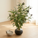 Artificial Plant