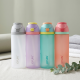 Plastic Bottle 850 ml