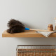 Feather Duster