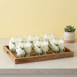 Glass Cups Set 6 Pcs