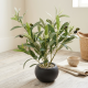 Artificial Plant