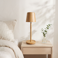 Rechargeable LED Table Lamp