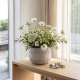 Porcelain Plant Pot Large