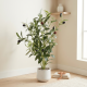 Artificial Plant