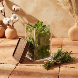 Plastic Jar L