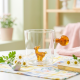 Glass Cup