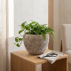 Porcelain Plant Pot Small