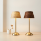 Rechargeable LED Table Lamp