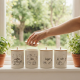Metal Jar Set 4 Pcs