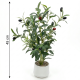 Artificial Plant