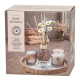 Vanilla Candles & Reed Diffuser Set
