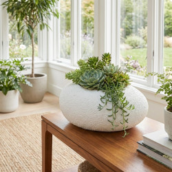Porcelain Plant Pot Medium