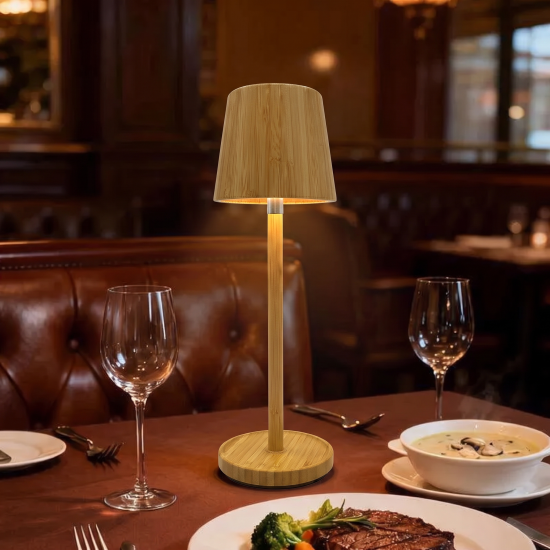 Rechargeable LED Table Lamp
