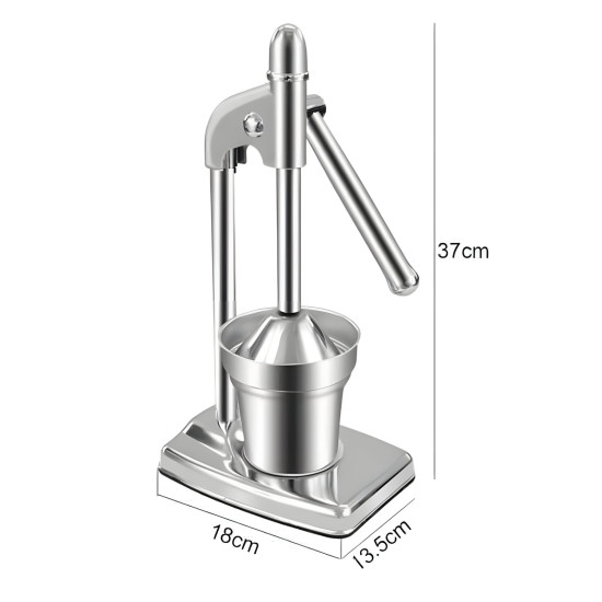 Fruit Juicer