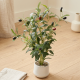 Artificial Plant