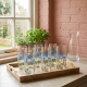 Glass Cups Set 6 Pcs
