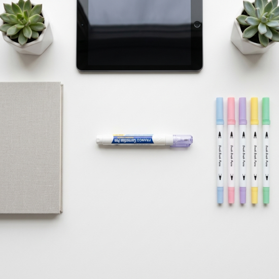 Correction Pen